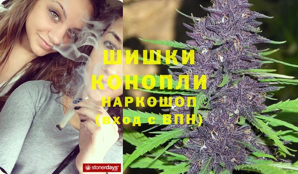 ECSTASY Белокуриха
