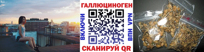Галлюциногенные грибы мухоморы  Горняк 